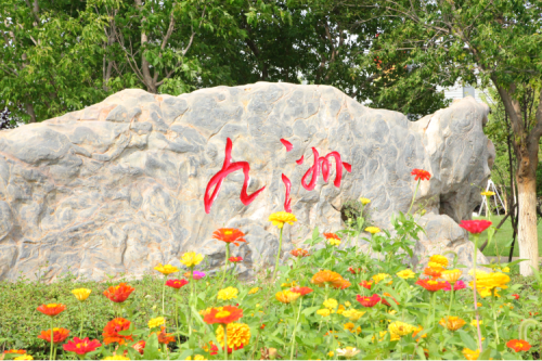 ϵԱůעůġ˾ΪԱŸ