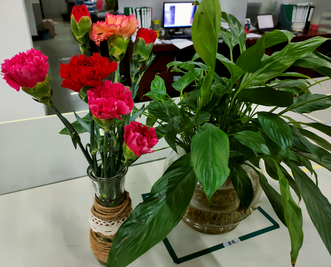 ��ҳ- �Ϲ�NG28�������ֹٷ���վ